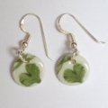 ear rings - Ginkgo 30,-